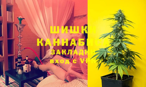 сатива Богородск