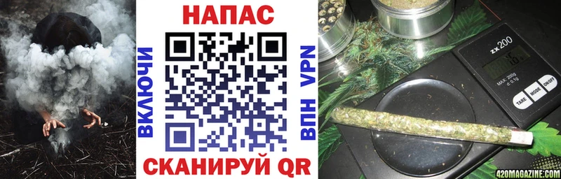 Купить где Алзамай Конопля SATIVA & INDICA